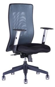 Kancelářská židle na kolečkách Office Pro CALYPSO GRAND BP – s područkami Světle šedá 12A11