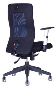 Kancelářská židle na kolečkách Office Pro CALYPSO XL BP - bez podhlavníku, více barev Antracit 1211