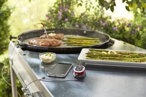 Weber Dodatečná termosonda iGrill a Connect