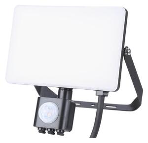 LED Venkovní reflektor se senzorem LED/30W/230V 5000K IP44