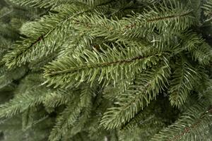 Vánoční stromek FULL 3D Smrk Kalifornský 180cm