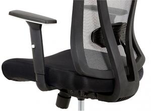 Kancelářská ergonomická židle NUOVO – šedá, s podhlavníkem i bederní opěrou