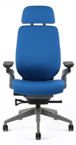 Kancelářská ergonomická židle Office Pro KARME — více barev, s podhlavníkem a područkami Modrá F03