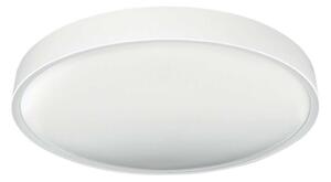 LED Stropní svítidlo SAMER LED/24W/230V 4000K