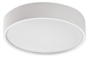 Rabalux 75012 - LED Stropní svítidlo se senzorem LARCIA LED/19W/230V IP44 bílá
