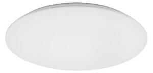 Rabalux 71123 - LED Stropní svítidlo RORIK LED/18W/230V 4000K 28 cm
