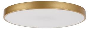 Rabalux 71038 -LED Stmívatelné stropní svítidlo TESIA LED/60W/230V 3000-6000K+DO