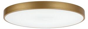 Rabalux 71038 -LED Stmívatelné stropní svítidlo TESIA LED/60W/230V 3000-6000K+DO