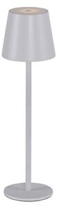 Leuchten Direkt 19250-16-LED Venkovní nabíjecí lampa EURIA LED/3W/5V IP54 bílá