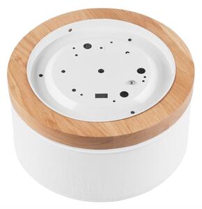 Brilagi - LED Stropní svítidlo BELLADONNA 1xE27/15W/230V pr. 30 cm bílá/dub