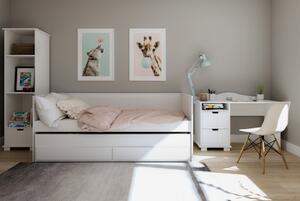 BabyBeds Praktická postel s přistýlkou a úložným prostorem HOMNES 200x90 bílá Matrace k posteli?: Ne, bez matrací