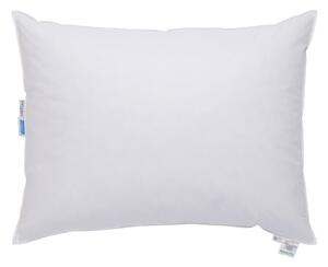 POLŠTÁŘ, 70/90 cm Sleeptex - Polštáře pod hlavu