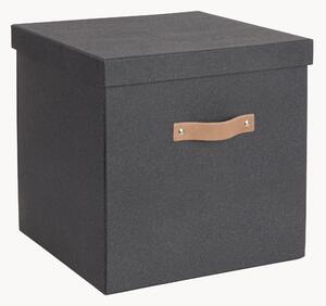 Úložný box Logan