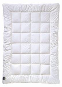 ZIMNÍ PŘIKRÝVKA, 135/200 cm, Billerbeck - Přikrývky, Online Only