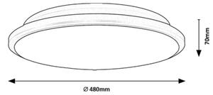 Rabalux 71131 - LED Stropní svítidlo ENGON LED/45W/230V 4000K stříbrná 48 cm