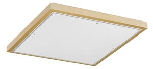 Argon 7167 - Stropní svítidlo CARLSON 2xE27/15W/230V 29x29 cm zlatá