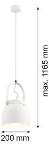 Argon 8280 - Lustr na lanku LOGAN 1xE27/15W/230V pr. 20 cm bílá