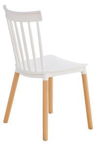 Jídelní židle ALCA — masiv buk/plast, bílá