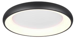 STROPNÍ LED SVÍTIDLO, 62/10 cm Trio Leuchten - Stropní svítidla