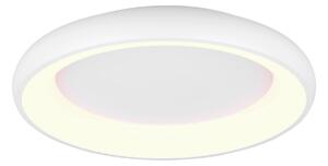 STROPNÍ LED SVÍTIDLO, 62/10 cm Trio Leuchten - Stropní svítidla