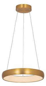 Zambelis 2046 - LED Stmívatelný lustr na lanku LED/30W/230V pr. 40 cm zlatá