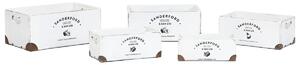 Sada dekorativních krabic Home ESPRIT Sanderford Bílý Jedlové dřevo 35 x 22 x 15 cm 5 Kusy