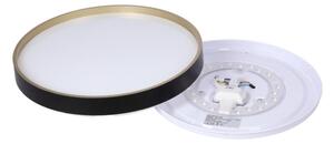 LED Stropní svítidlo FLORIDA LED/18W/230V černá