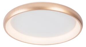 Azzardo AZ5073 - LED Stmívatelné stropní svítidlo ANTONIO LED/50W/230V zlatá +DO