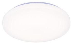 LED Stmívatelné stropní svítidlo s hlasovým ovládáním OPAL LED/48W/230V + DO