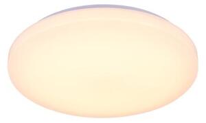 LED Stmívatelné stropní svítidlo s hlasovým ovládáním OPAL LED/48W/230V + DO