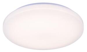 LED Stmívatelné stropní svítidlo s hlasovým ovládáním OPAL LED/48W/230V + DO