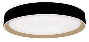 LED Stmívatelné stropní svítidlo s hlasovým ovládáním OPAL LED/48W/230V + DO