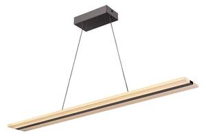 LED Stmívatelný lustr na lanku LED/40W/230V 3000-6500K chrom + dálkové ovládání