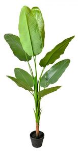Dekorace zelená umělá rostlina strelitzia v květináči - 35*35*160 cm