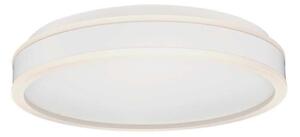 LED Stropní svítidlo LED/24W/230V 4000K bílá