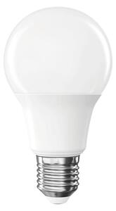 LED ŽÁROVKA E27 - Žárovky