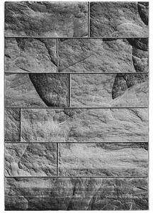 Breno Kusový koberec PARMA 9250 Black, Šedá, Černá, 200 x 290 cm