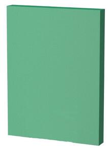 Vesna | Podložka pod laminátové podlahy XPS 3,0 mm