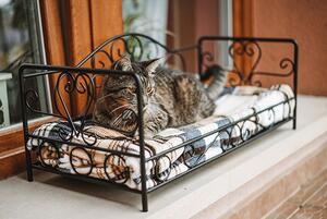 Postel pro kočky