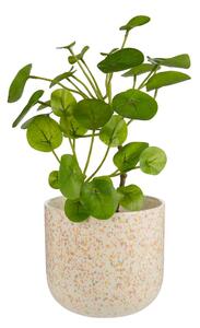 SPOT Květináč 20 cm