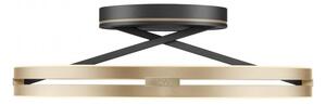 Paul Neuhaus Stropní LED svítidlo PURE Loop, pr.60cm, 7W+30W 2700-5000K, černá/zlatá slonová kost