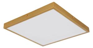 Globo 12382-22 - LED Stropní svítidlo TIBEY LED/22W/230V 35x35 cm