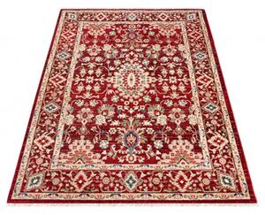 Makro Abra Kusový koberec RIVOLI EE65B Klasický červený Rozměr: 120x170 cm