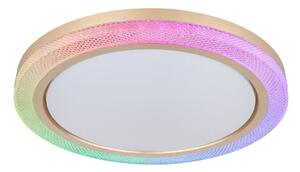 Globo 41372-24 - LED RGBW Stmívatelné stropní svítidlo BOLLY LED/20W/230V + DO