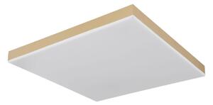 Globo 41594D2M - LED Stmívatelné stropní svítidlo DORO LED/24W/230V zlatá + DO