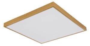 Globo 12382-30 - LED Stropní svítidlo TIBEY LED/30W/230V 45x45 cm