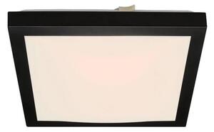 Briloner 3502-015 - LED Stropní svítidlo FLEDO LED/12W/230V