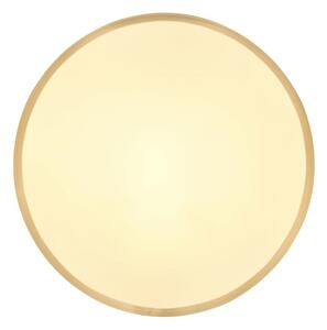 Globo 12381-22 - LED Stropní svítidlo TIBEY LED/22W/230V pr. 35 cm