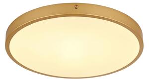 Globo 12381-22 - LED Stropní svítidlo TIBEY LED/22W/230V pr. 35 cm
