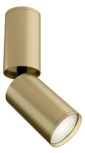 MAYTONI Stropní svítidlo FOCUS S C051CL-01MG